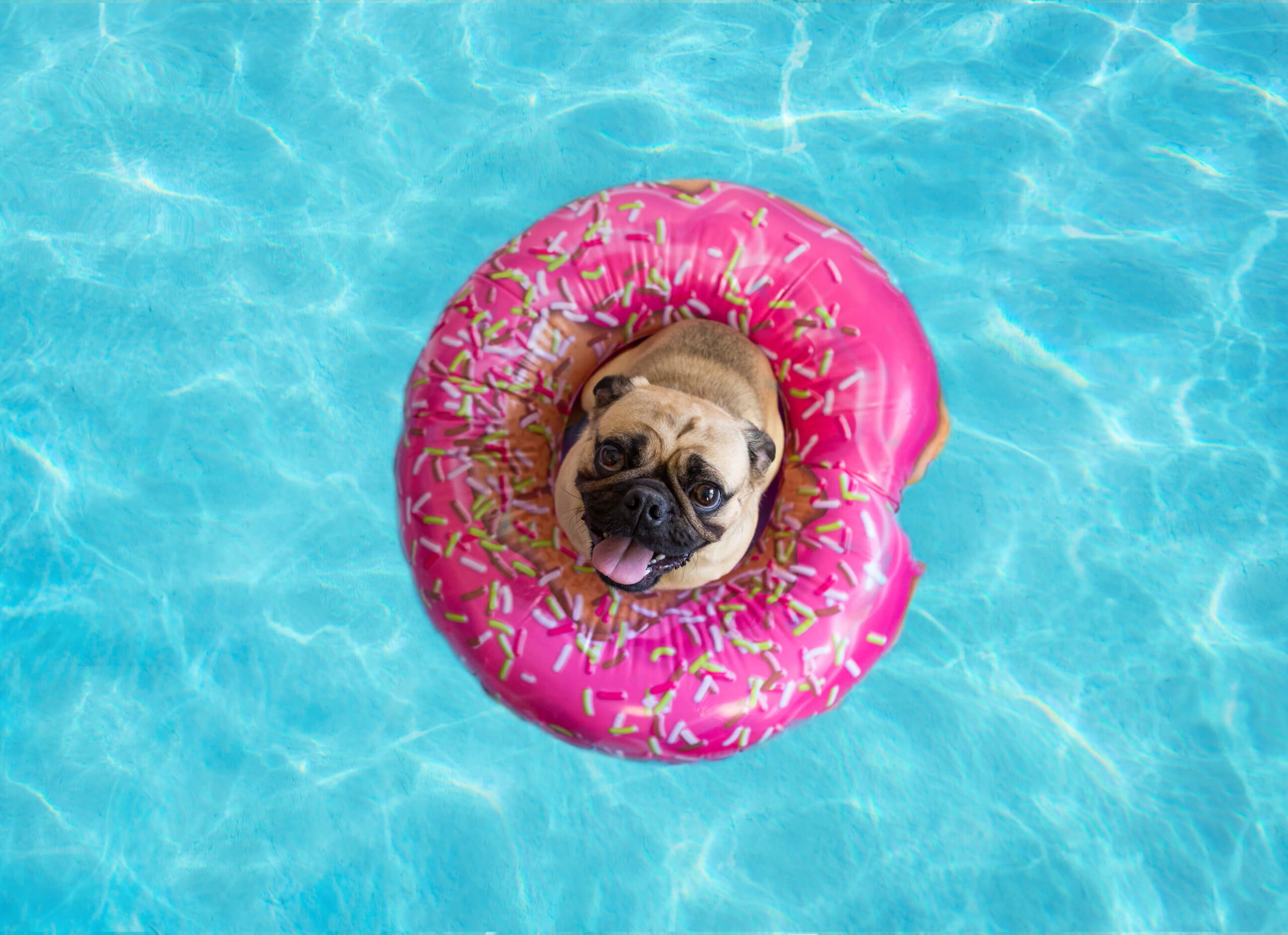 Get Through the Dog Days of Summer in a Hot Tub