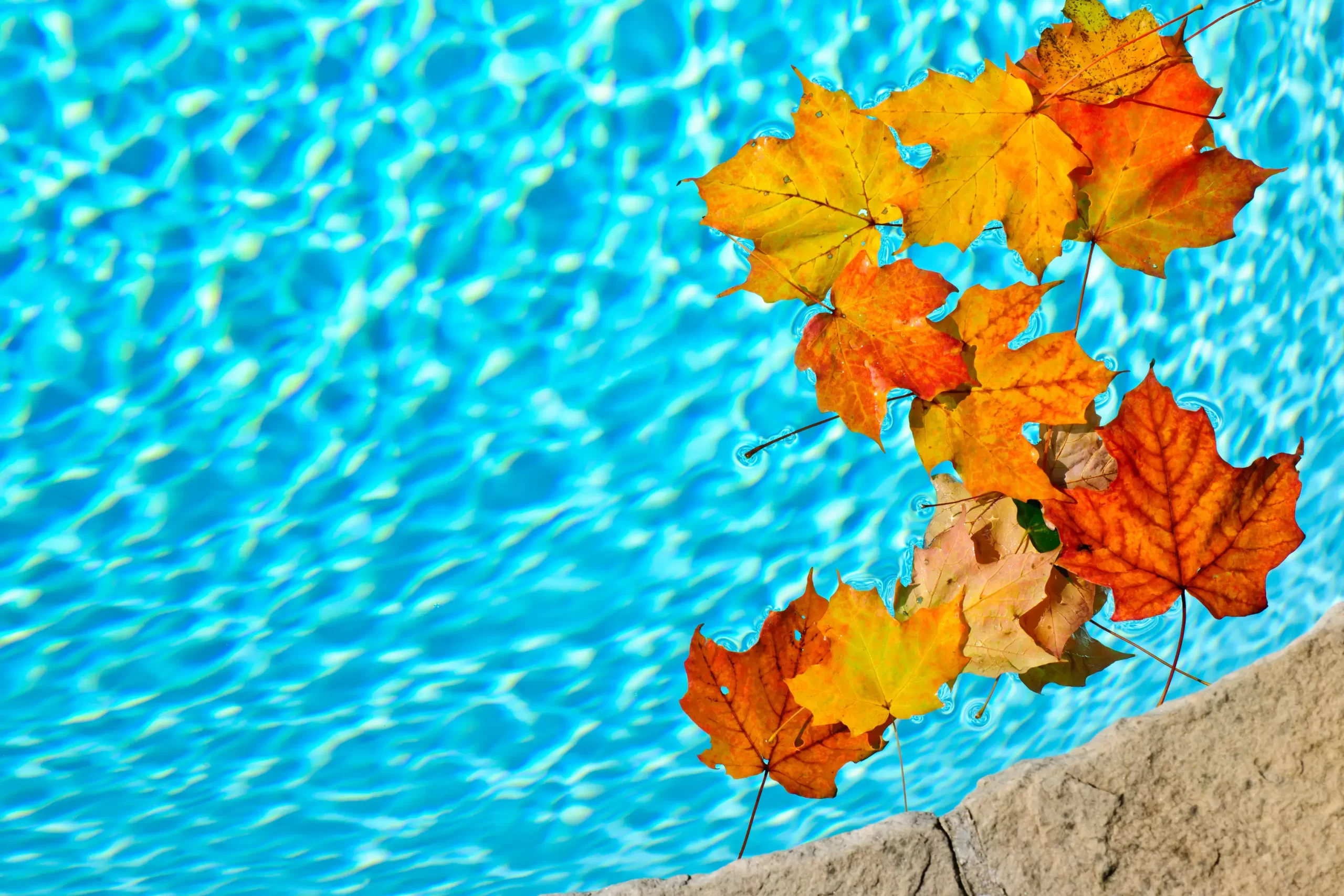 The Importance of Choosing a Professional Pool Closing Service Company